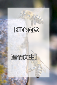 红心向党 温情庆生
