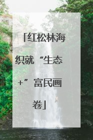 红松林海织就“生态+”富民画卷
