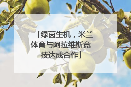 绿茵生机，米兰体育与阿拉维斯竞技达成合作