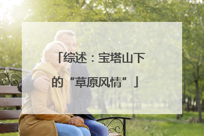 综述：宝塔山下的“草原风情”