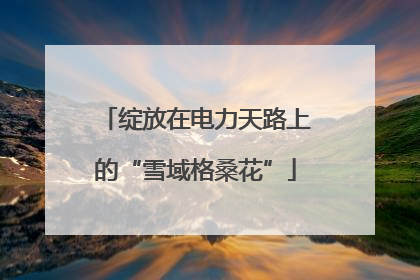 绽放在电力天路上的“雪域格桑花”