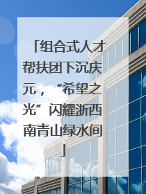组合式人才帮扶团下沉庆元，“希望之光”闪耀浙西南青山绿水间