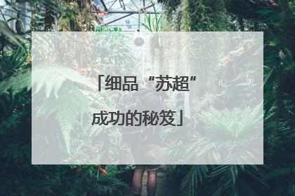 细品“苏超”成功的秘笈