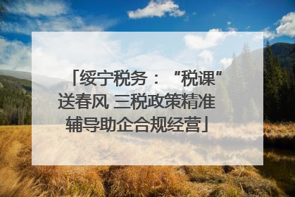 绥宁税务：“税课”送春风 三税政策精准辅导助企合规经营
