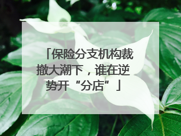 保险分支机构裁撤大潮下，谁在逆势开“分店”