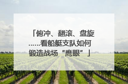 俯冲、翻滚、盘旋……看船艇支队如何锻造战场“鹰眼”