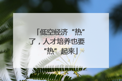 低空经济“热”了，人才培养也要“热”起来