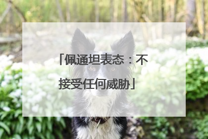 佩通坦表态：不接受任何威胁