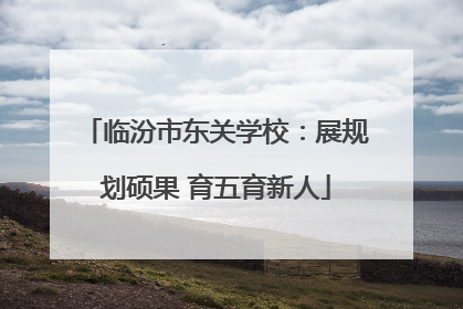 临汾市东关学校：展规划硕果 育五育新人