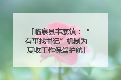 临泉县韦寨镇：“有事找书记”机制为夏收工作保驾护航