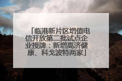 临港新片区增值电信开放第二批试点企业授牌：新增高济健康、科戈波特两家