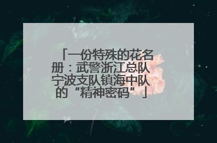 一份特殊的花名册：武警浙江总队宁波支队镇海中队的“精神密码”