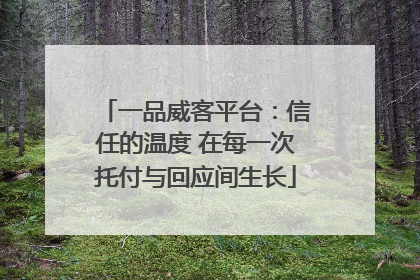 一品威客平台：信任的温度 在每一次托付与回应间生长