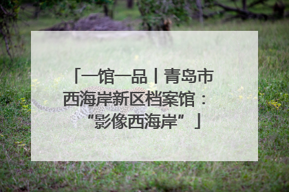 一馆一品丨青岛市西海岸新区档案馆：“影像西海岸”