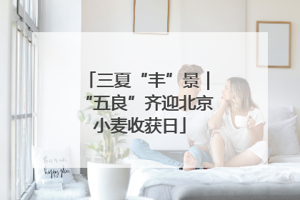 三夏“丰”景｜“五良”齐迎北京小麦收获日