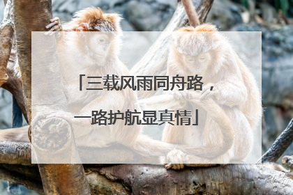 三载风雨同舟路，一路护航显真情