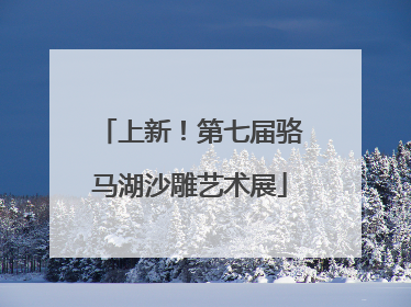 上新！第七届骆马湖沙雕艺术展
