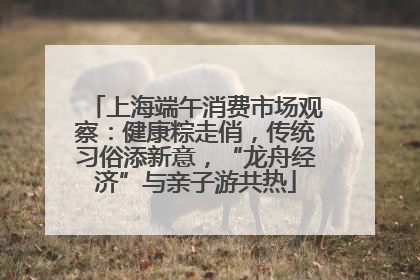 上海端午消费市场观察：健康粽走俏，传统习俗添新意，“龙舟经济”与亲子游共热