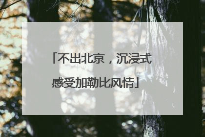 不出北京，沉浸式感受加勒比风情