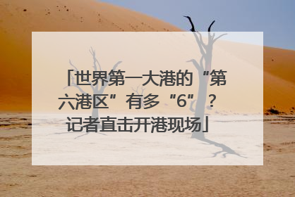 世界第一大港的“第六港区”有多“6”？记者直击开港现场