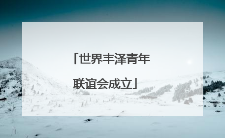 世界丰泽青年联谊会成立