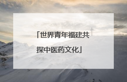 世界青年福建共探中医药文化