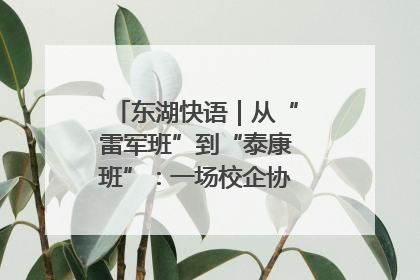 东湖快语｜从“雷军班”到“泰康班”：一场校企协同的“接力赛”