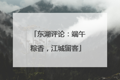 东湖评论：端午粽香，江城留客