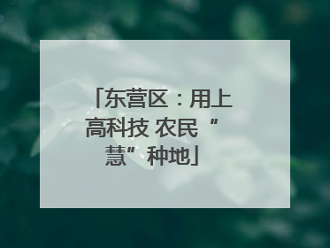 东营区：用上高科技 农民“慧”种地