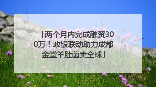 两个月内完成融资300万！政银联动助力成都金堂羊肚菌卖全球