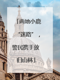 两地小鹿“迷路”，警民携手放归山林
