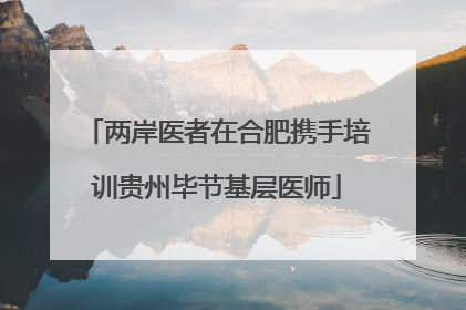 两岸医者在合肥携手培训贵州毕节基层医师