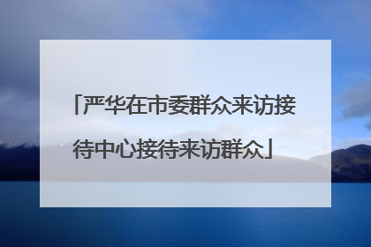 严华在市委群众来访接待中心接待来访群众