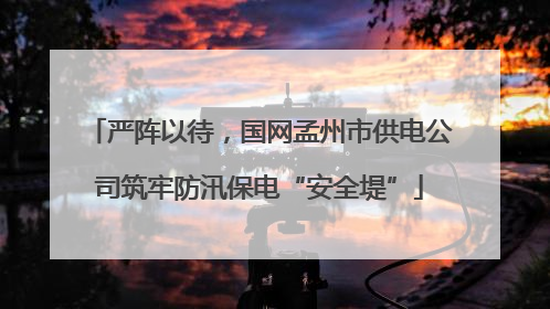 严阵以待，国网孟州市供电公司筑牢防汛保电“安全堤”