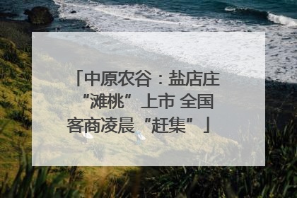 中原农谷：盐店庄“滩桃”上市 全国客商凌晨“赶集”