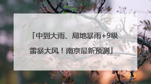 中到大雨、局地暴雨+9级雷暴大风！南京最新预测