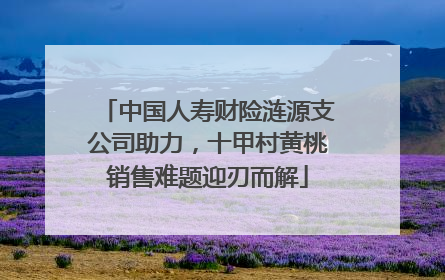 中国人寿财险涟源支公司助力，十甲村黄桃销售难题迎刃而解