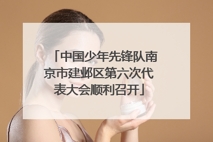 中国少年先锋队南京市建邺区第六次代表大会顺利召开