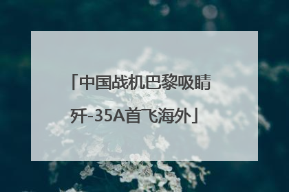 中国战机巴黎吸睛 歼-35A首飞海外
