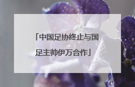 中国足协终止与国足主帅伊万合作