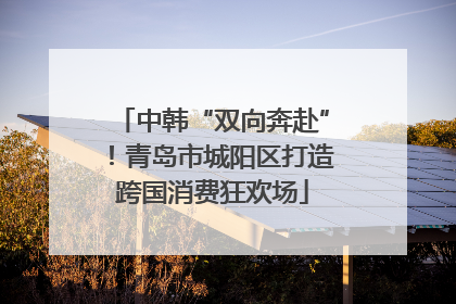 中韩“双向奔赴”！青岛市城阳区打造跨国消费狂欢场