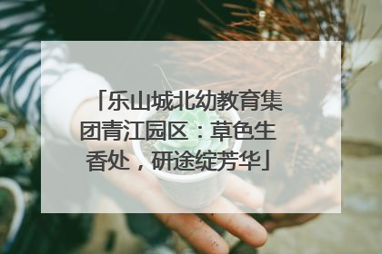乐山城北幼教育集团青江园区：草色生香处，研途绽芳华