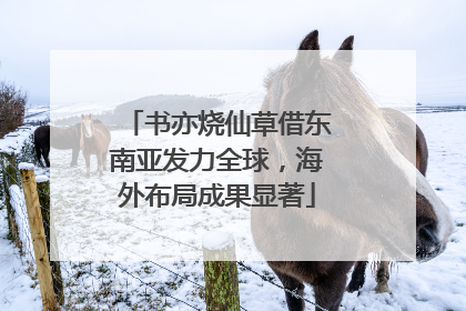 书亦烧仙草借东南亚发力全球，海外布局成果显著