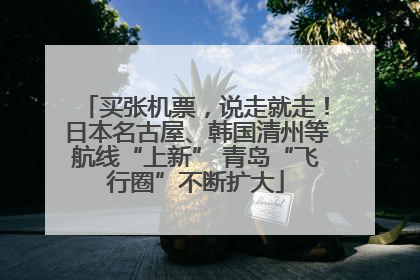 买张机票，说走就走！日本名古屋、韩国清州等航线“上新” 青岛“飞行圈”不断扩大