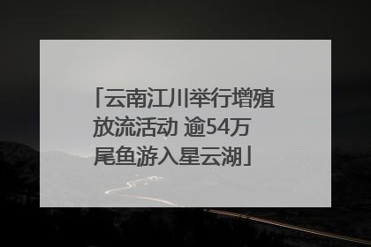 云南江川举行增殖放流活动 逾54万尾鱼游入星云湖