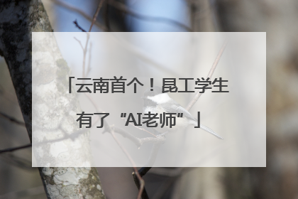 云南首个！昆工学生有了“AI老师”