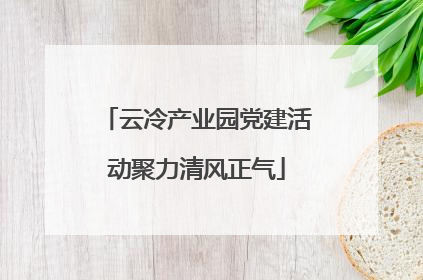 云冷产业园党建活动聚力清风正气