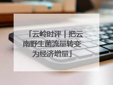 云岭时评｜把云南野生菌流量转变为经济增量