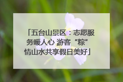 五台山景区：志愿服务暖人心 游客“粽”情山水共享假日美好