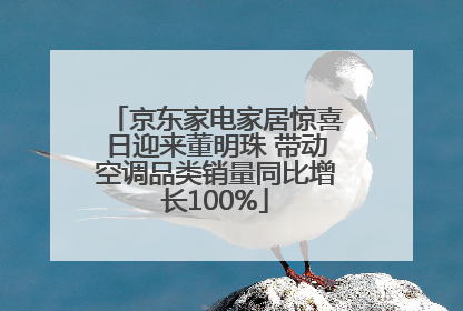 京东家电家居惊喜日迎来董明珠 带动空调品类销量同比增长100%